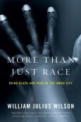 Image of More Than Just Race