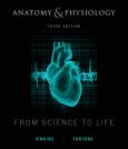 Image of Anatomy & Physiology From Science To Life