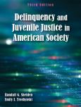 Image of Delinquency & Juvenile Justice In American Society