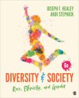 Image of Diversity & Society