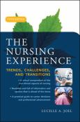 Nursing Experience: Trends, Challenges, and Transitions