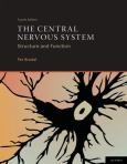 Central Nervous System: Structure and Function
