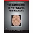 Human Brain in Photographs and Diagrams. Text with CD-Rom for Windows