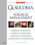 Glaucoma: Surgical Management. Text with Internet Access Code for Expert Consult Edition