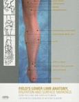 Field's Lower Limb Anatomy: Palpation and Surface Markings