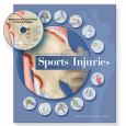 Visual Guide to Anatomy, Movement, and Common Sports Injuries