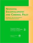 Neonatal Encephalopathy and Cerebral Palsy: Defining the Pathogenesis and Pathophysiology: A Report
