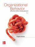(Vs E-Book)   Organizational Behavior - cover photo