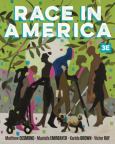 (Vs E-Book)  Race In America - cover photo