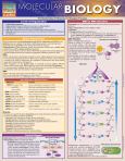 Molecular Biology