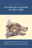 Saunders Veterinary Anatomy Flash Cards: Vividly Illustrated Flash Cards for FAST Learning and Memorization!