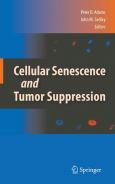 Senescence and Tumor Suppression