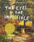 Image of Eyes And The Impossible