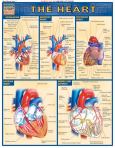 Heart Laminate Reference Chart