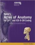 Netter's Atlas of Anatomy for CPT and ICD-9-CM Coding: Musculoskeletal