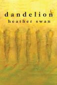 Image of Dandelion