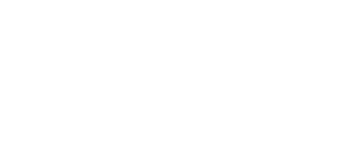 custom shop logo