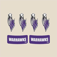 CDI Corp Temporary Skin Stickers (6 pk)