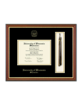 Tassel Edition Diploma Frame in Newport with Black/Gold mats