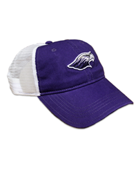 Champion Mesh Hat