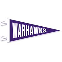 Collegiate Pacific 4x9 Mini Warhawks Pennant
