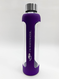 LXG Glass Bottle with Silicone Wrap
