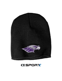 Carhartt Black Beanie Hat