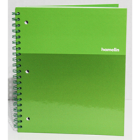 Notebook - Hamelin Smart Notebook Green