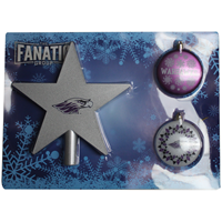 Holiday Set - Silver Star with Ornaments