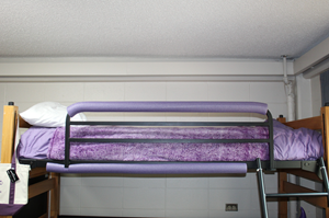 Image of 52in. Purple Loft Pool Noodle