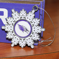 Ornament - Pewter Sparkle Snowflake with Mascot in Middle