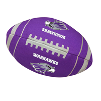 Football Dog Toy