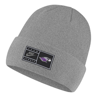 Beanie - Nike Team Sports Gray Heather with Mascot