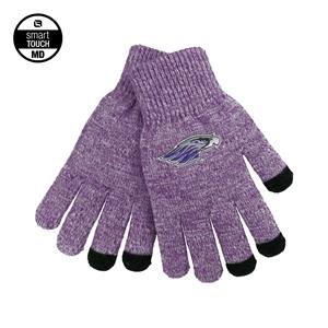 Image of Gloves - Ferris Marled Yarn Winter Texting Gloves Emb Mascot