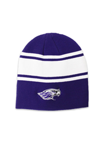 Nike Beanie Hat