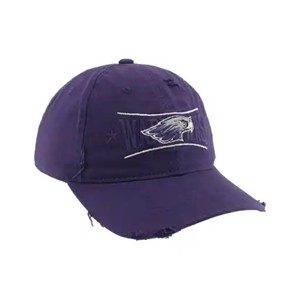 Hat - Purple Warhawks behind Mascot with Stars - main view
