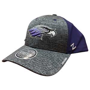 Hat - Grey with Mascot and Purple Back - main view