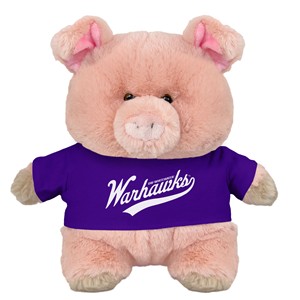 Plush - Chubby Wubby Pig with UW-Whitewater Warhawks - main view