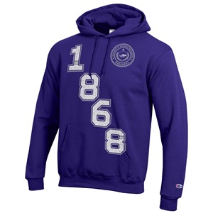 Champion Hooded Sweatshirt Diagonal 1868 - main view
