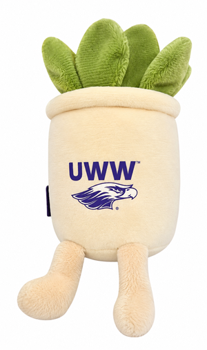 Plush - Flower Succulent - main view
