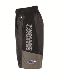 Champion Shorts