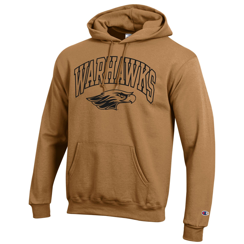 Champion outline hoodie hotsell