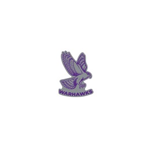 Pin - Vintage Bird over Warhawks - main view