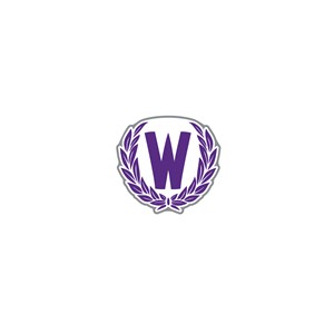 Pin - Vintage W Design - main view