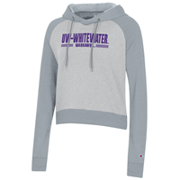 Champion Cropped Hooded Sweatshirt With Velvet Lettering