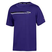 Champion Youth Athleticwear T-Shirt with Three Stripe Design Warhawks into Mascot